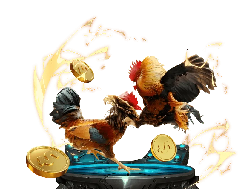 Khuyến mãi mới 95vn